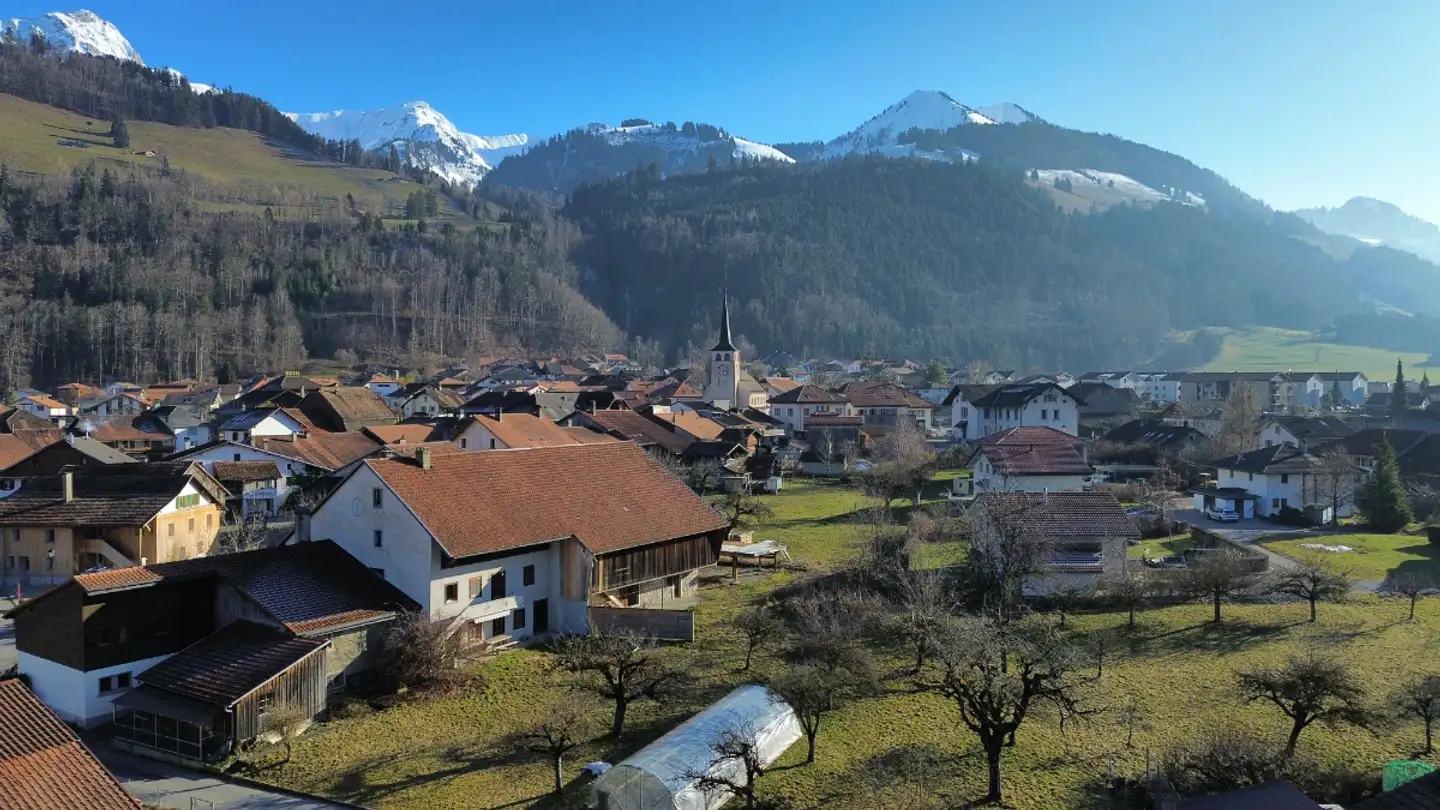 Apartment for sale - Chemin De La Fruitière 16, 1666 Grandvillard - Photo 3