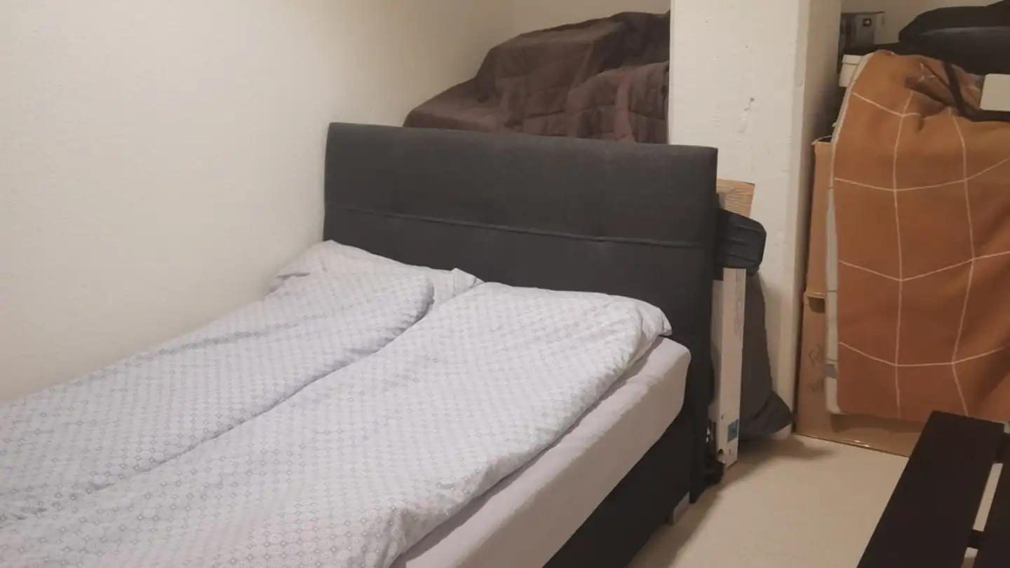 Furnished apartment for rent - 8047 Zürich - Photo 2