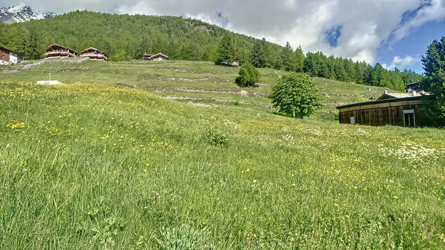 Terreno edificabile in vendita - 3906 Saas-Fee - Photo 4