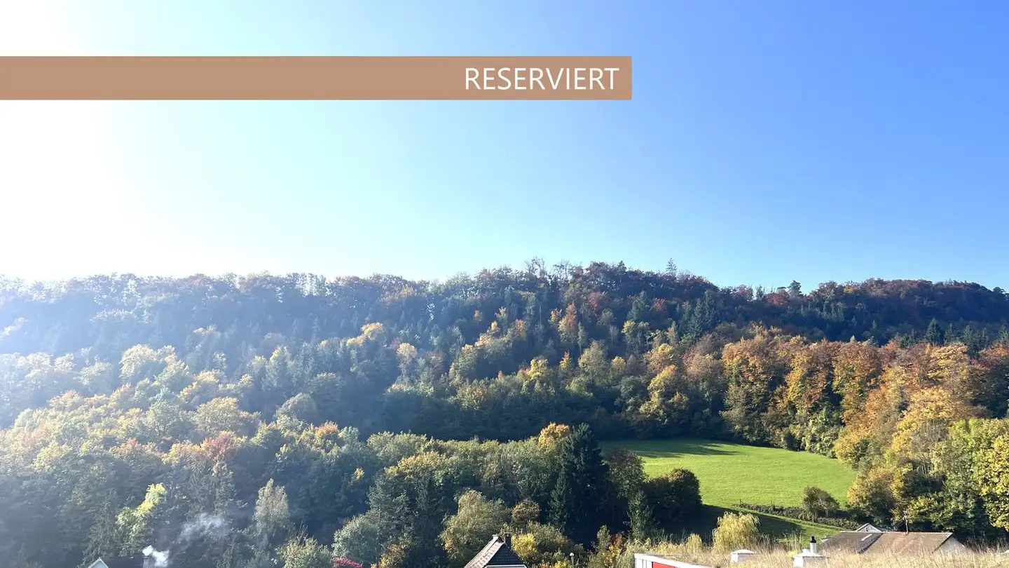 Penthouse for sale - Baslerstrasse 176, 4632 Trimbach