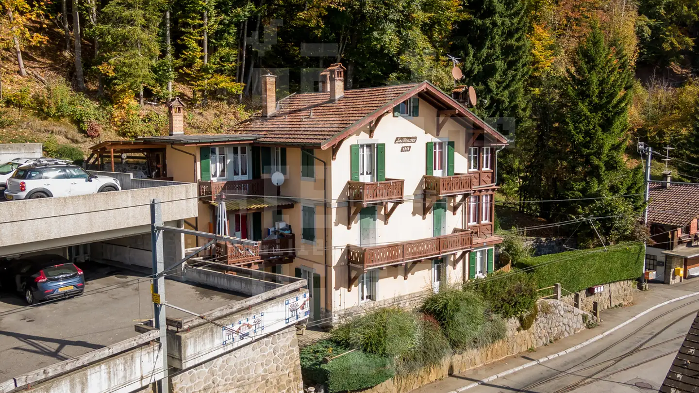 Chalet à vendre - 1884 Arveyes