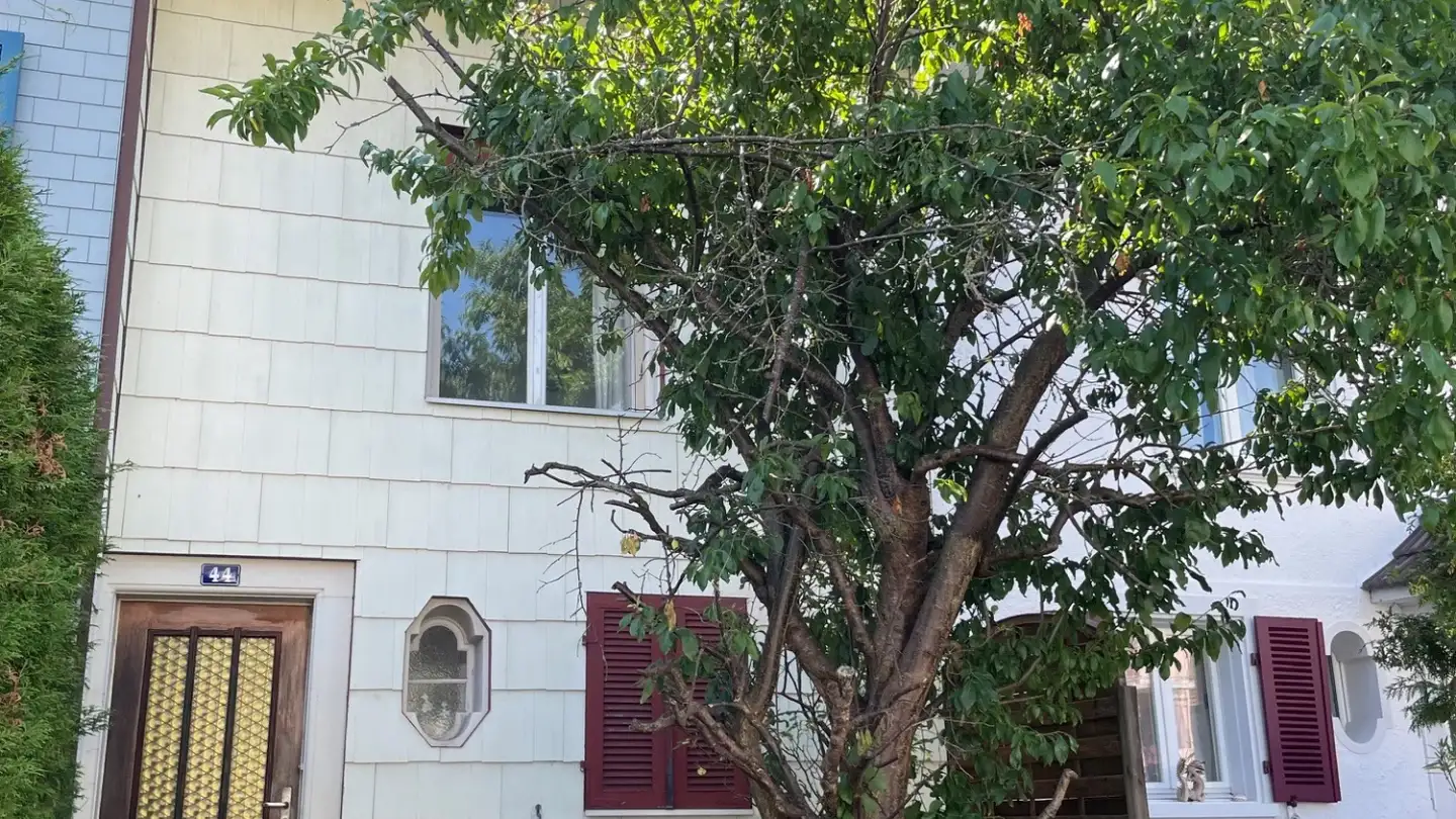 Maison en terrasse à vendre - Maienstrasse 44, 4600 Olten