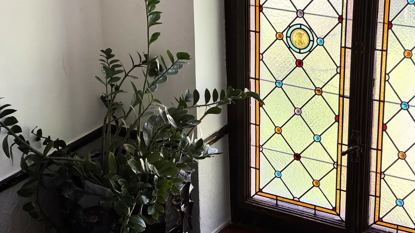 Zimmer mieten - Turnerstrasse 37, 8006 Zürich - Foto 4