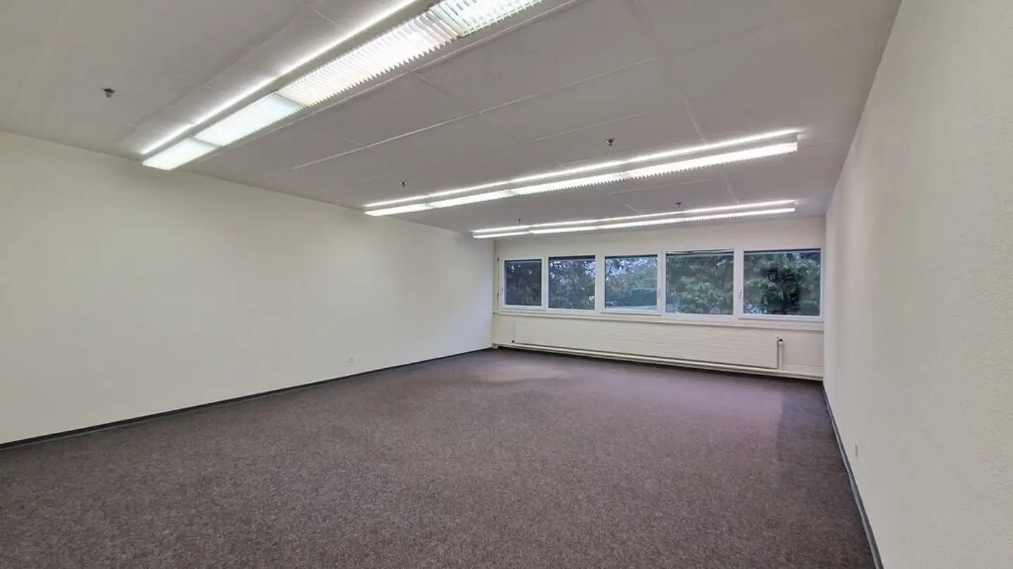 Atelier à louer - Chemin Des Champs-Courbes 1, 1024 Ecublens VD