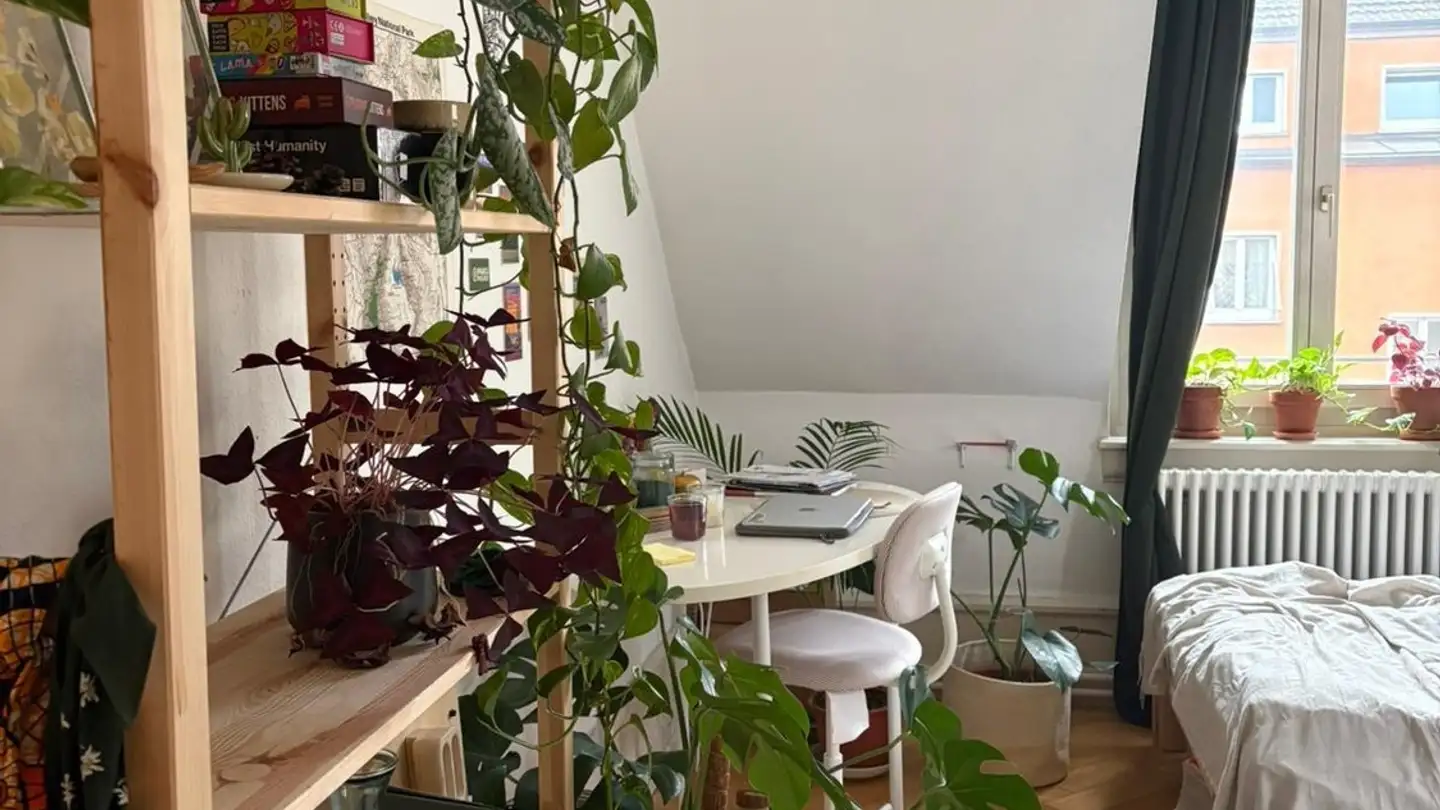 Stanza singola in affitto - 8045 Zürich - Foto 2