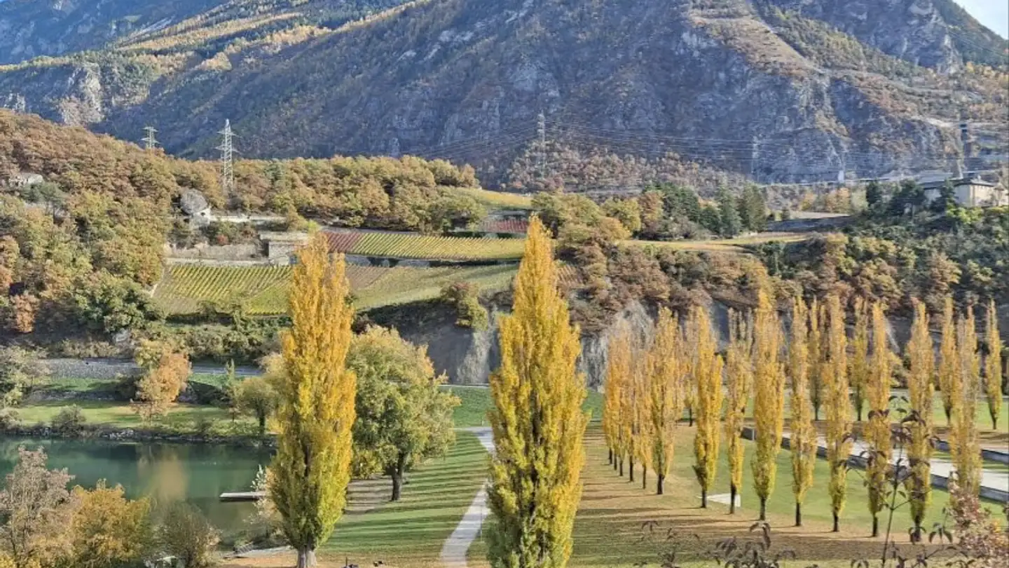 Appartamento in affitto - 3960 Sierre