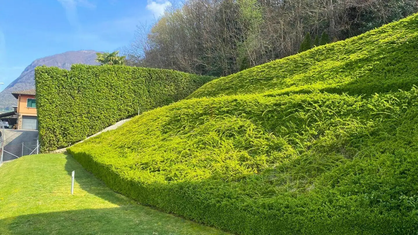 Terreno edificabile in vendita - Via Arogno, 6821 Rovio - Foto 2