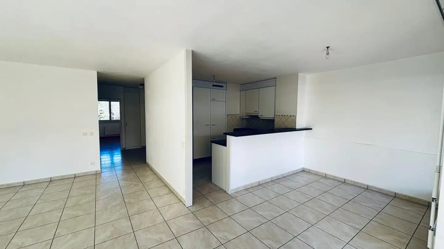 Appartamento in vendita - Route Du Grand-Lancy, 1212 Grand-Lancy - Foto 3