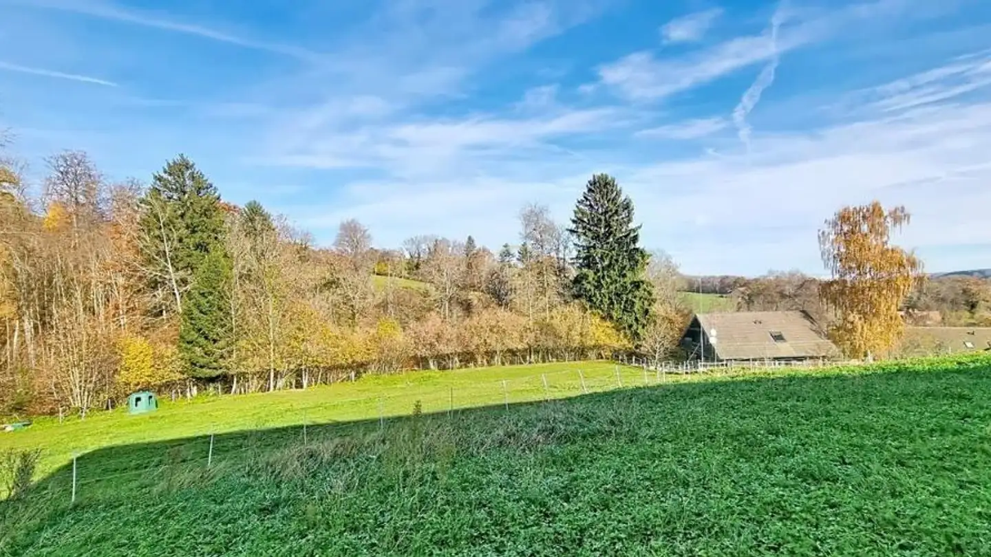 Semi-detached house for sale - Route De La Laiterie 10, 1082 Corcelles-le-Jorat