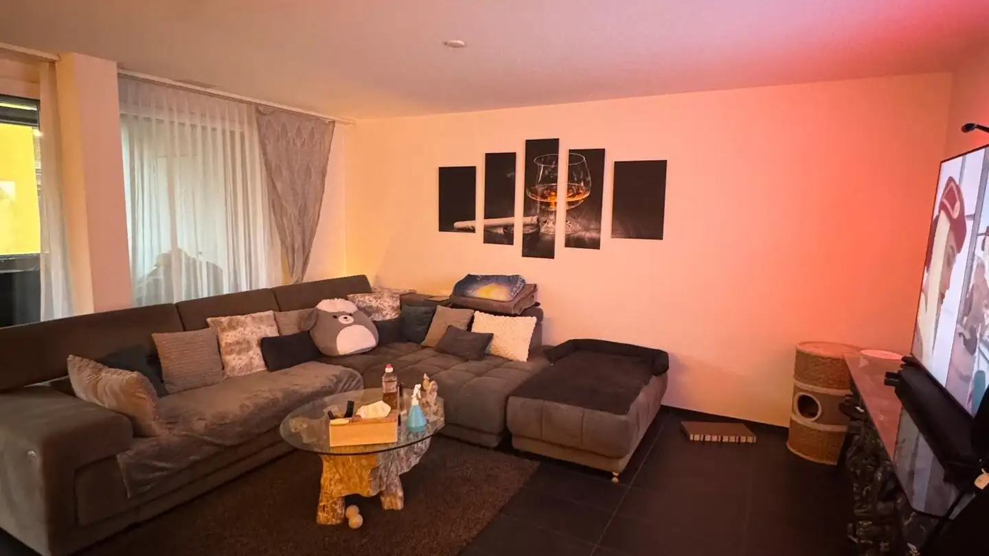 Appartamento in affitto - Wolfsackerstrasse 7, 5600 Lenzburg - Foto 4