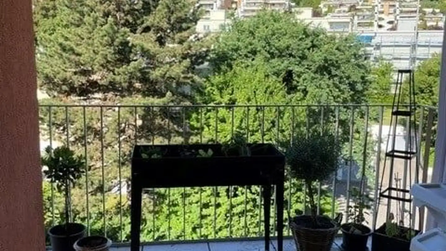 Appartamento in affitto - Holzmoosrütistrasse 8a, 8820 Wädenswil - Foto 3