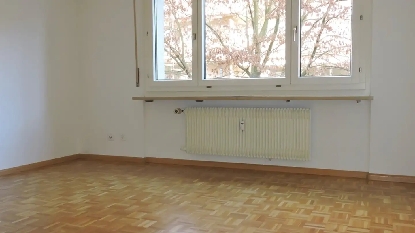 Appartamento in affitto - St. Jakobstrasse 29, 4133 Pratteln - Foto 4