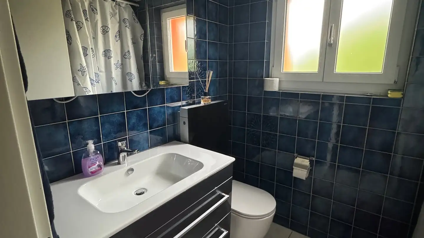 Stanza singola in affitto - Zürcherstrasse, 8102 Oberengstringen - Foto 3