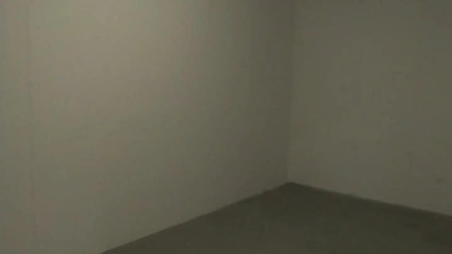 Gewerbe mieten - Bodenackerstrasse 29, 4226 Breitenbach