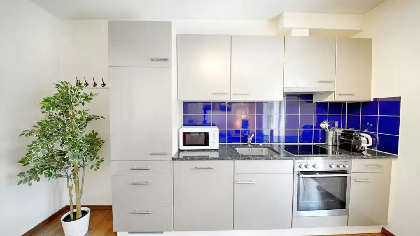 Appartement à louer - Schwamendingenstrasse, 8050 Zürich - Photo 2