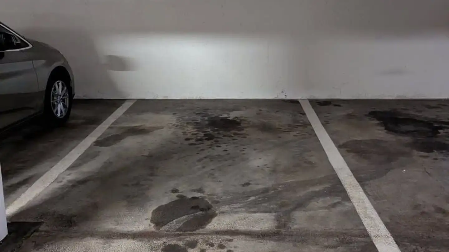 Garage individuel à louer - Käshaldenstrasse 5, 8052 Zürich