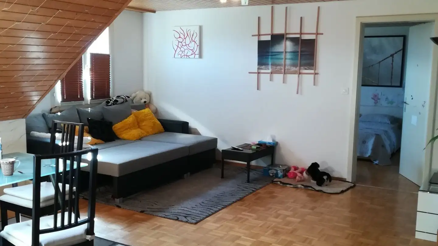 Appartamento in affitto - Brauereistrasse 14, 8730 Uznach