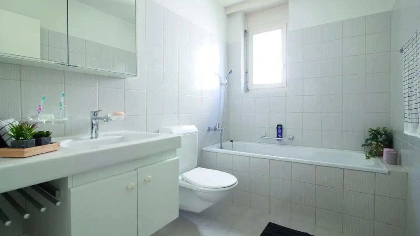 Duplex à louer - Am Kreuzbach 6, 4612 Wangen b. Olten - Photo 2