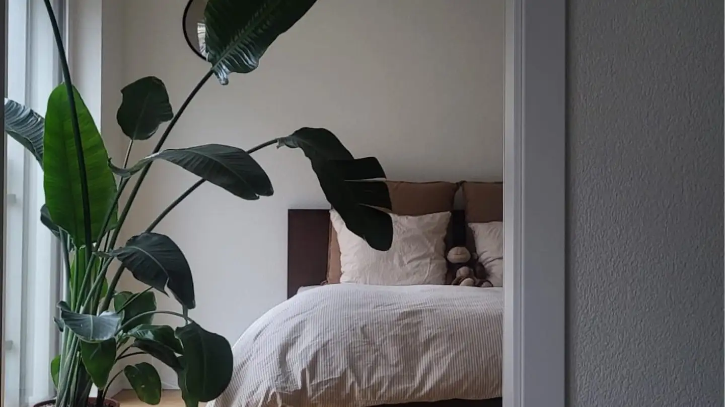 Wohnung mieten - Rue De La Borde, 1018 Lausanne - Foto 2