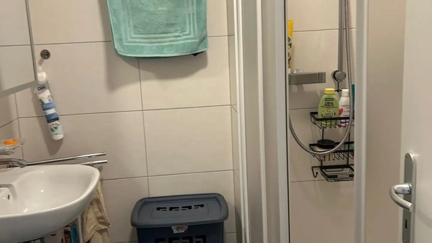 Appartamento in affitto - Via Vallemaggia 63, 6600 Locarno - Photo 3