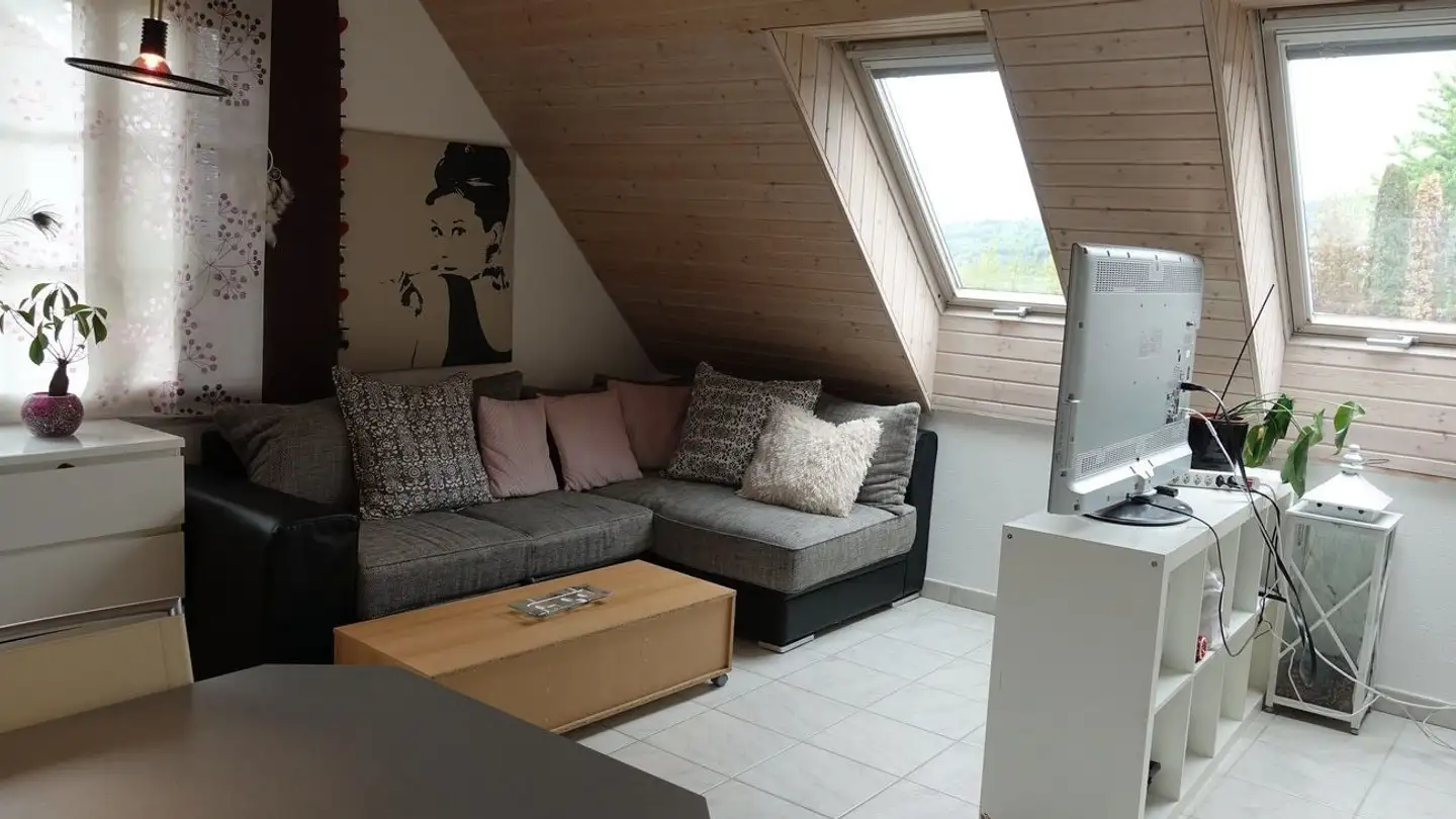 Studio à louer - Moosweg 36, 5606 Dintikon