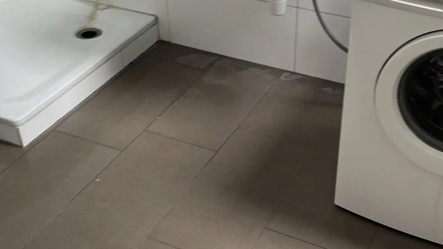 Wohnung mieten - 5737 Menziken