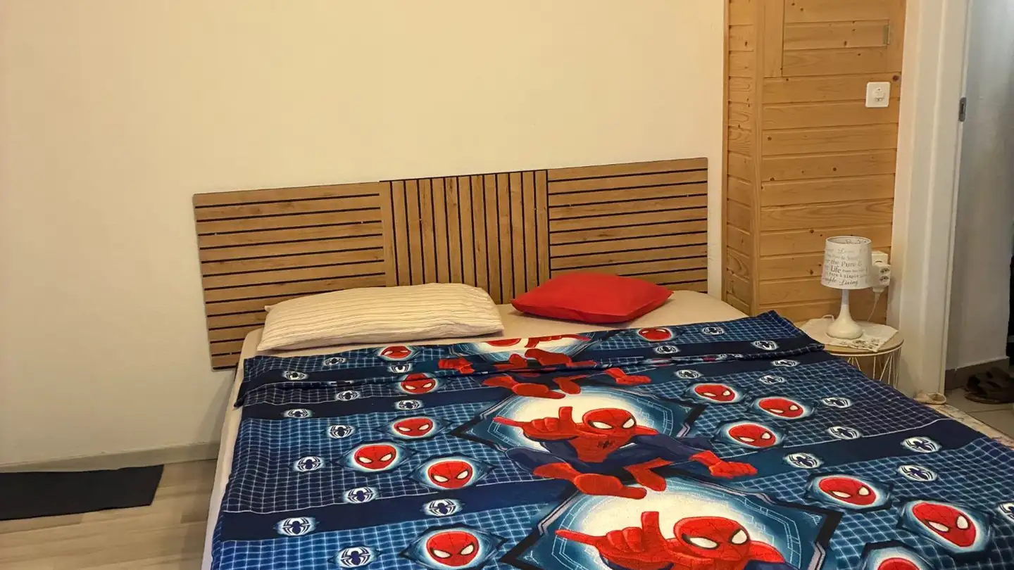 Casa singola in vendita - Via Monte Ceneri, 6593 Cadenazzo - Foto 3