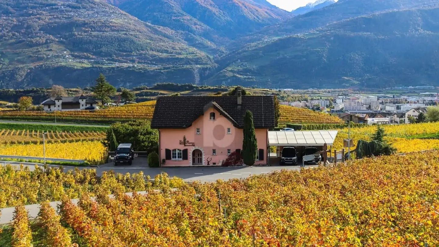 Maison individuelle à vendre - 1964 Conthey