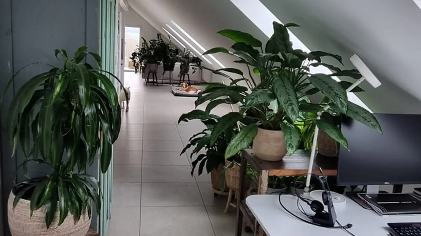 Wohnung mieten - Muristrasse 28, 8913 Ottenbach - Foto 2