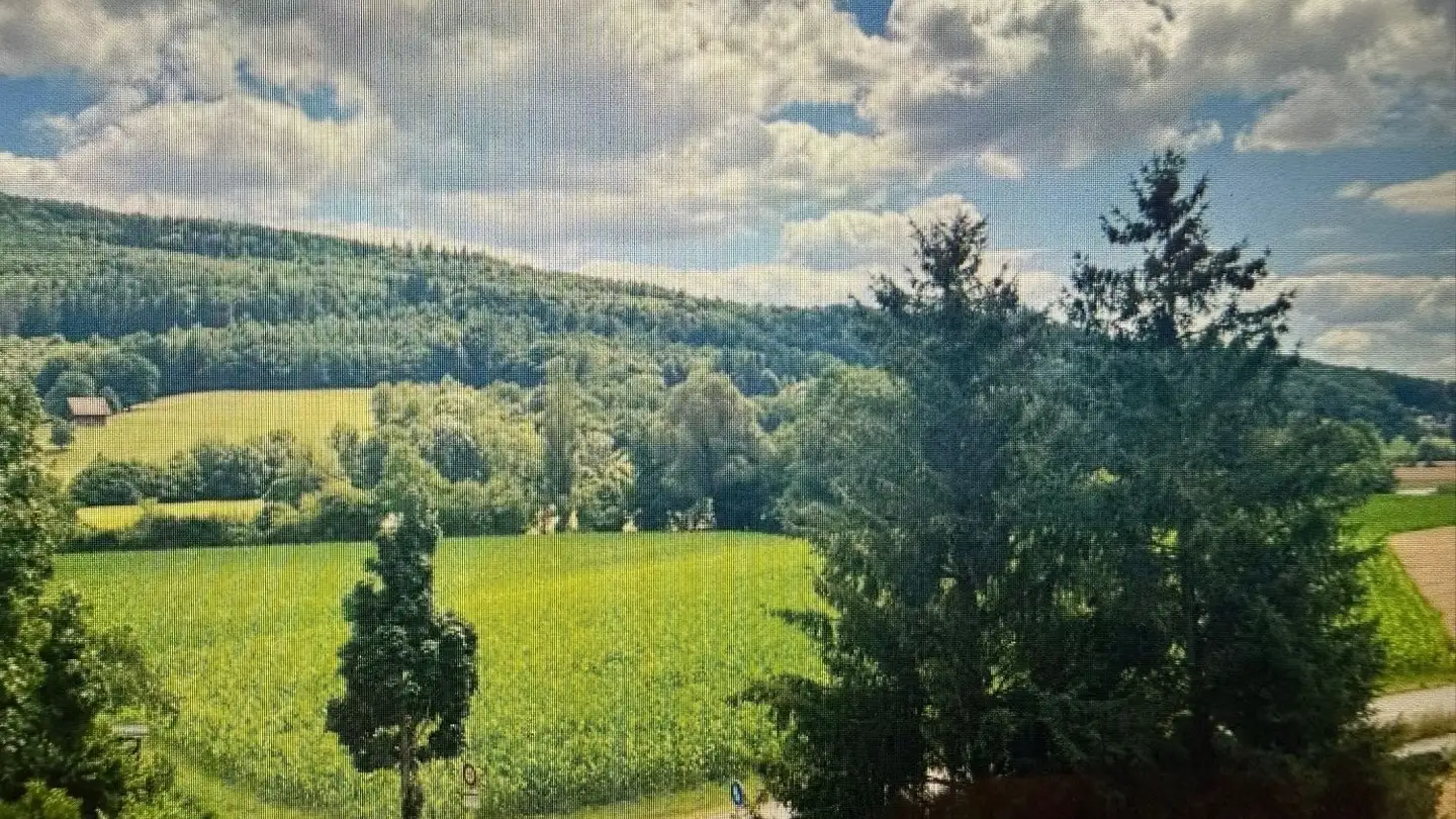 Wohnung mieten - Mittelgäustrasse 124, 4612 Wangen b. Olten - Foto 2