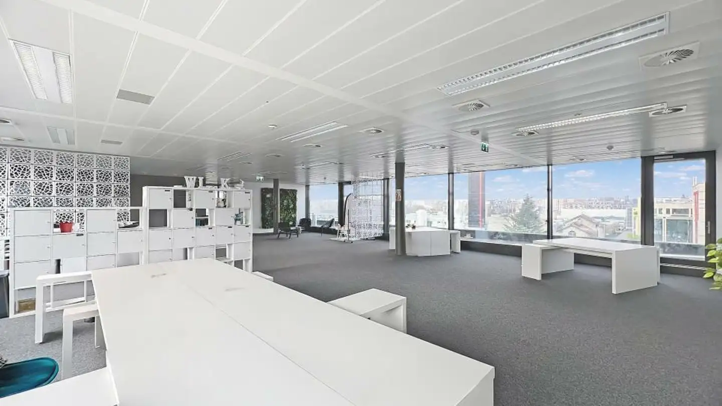 Spazio ufficio in affitto - Passerelle Du Lignon, 1219 Le Lignon - Photo 3