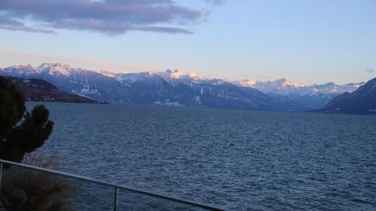 Appartamento in affitto - Avenue Général Guisan 25, 1009 Pully - Photo 3