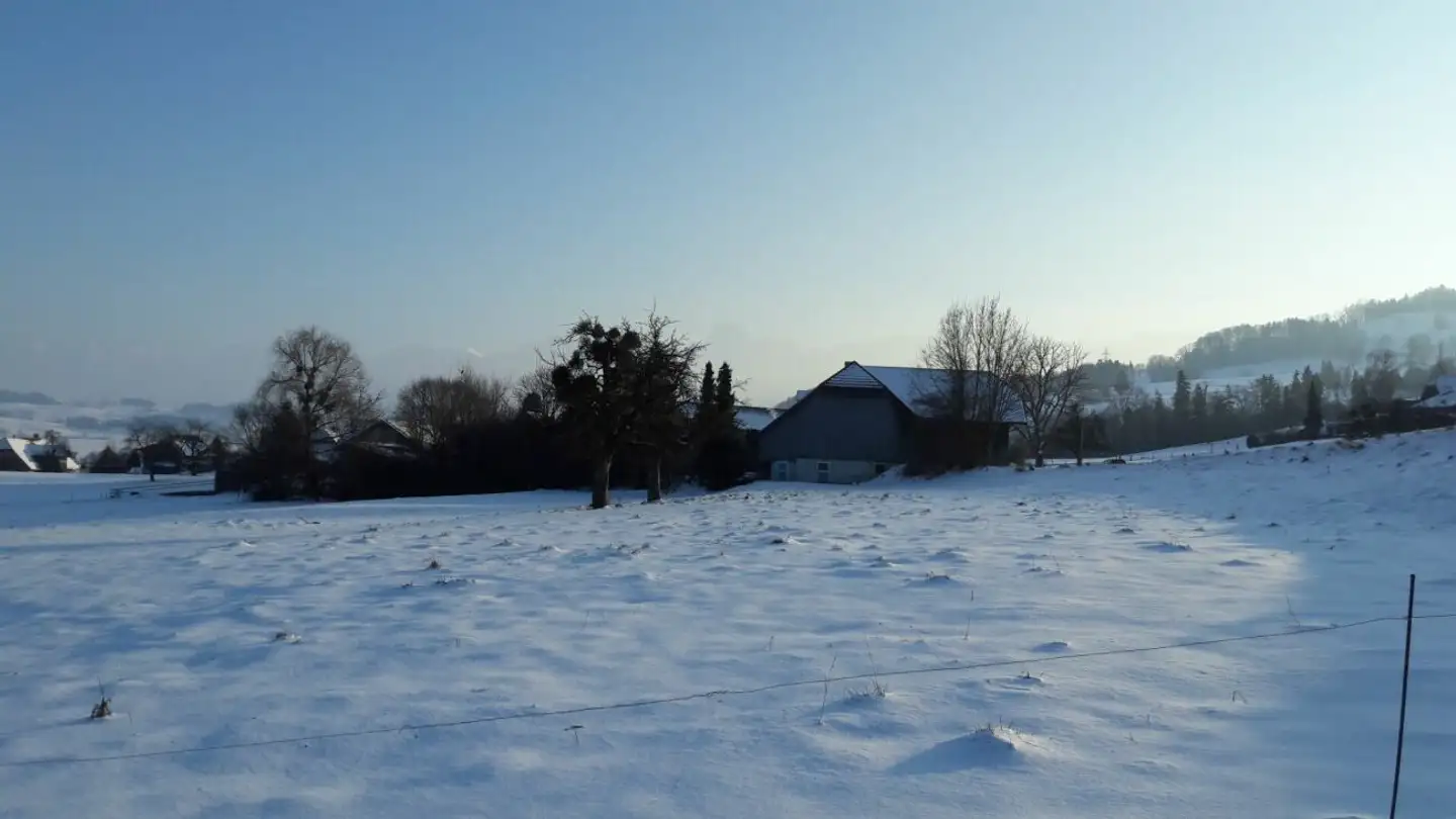 Duplex à louer - Zihlmatte 8, 3127 Mühlethurnen