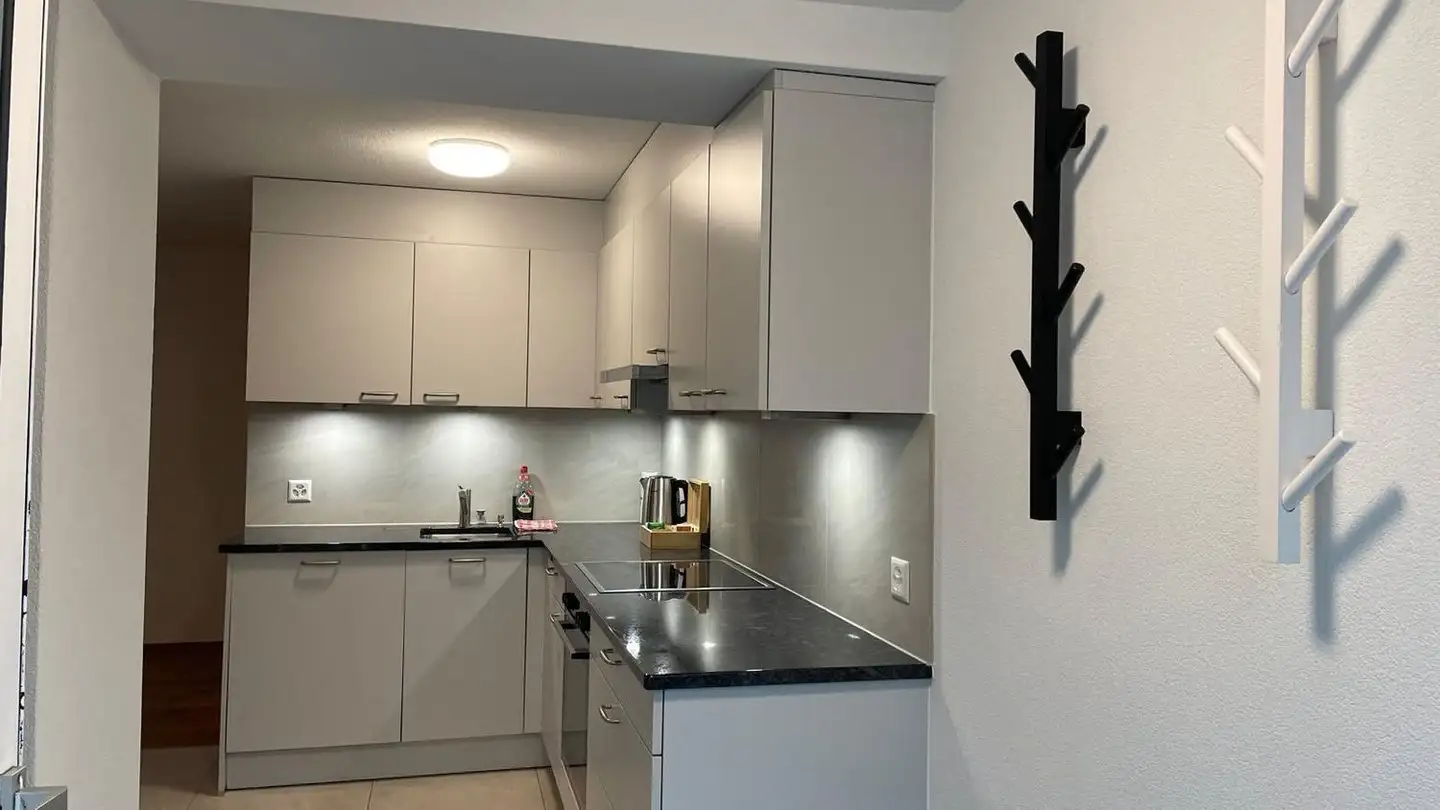 Apartment for rent - Bederstrasse 93, 8002 Zürich