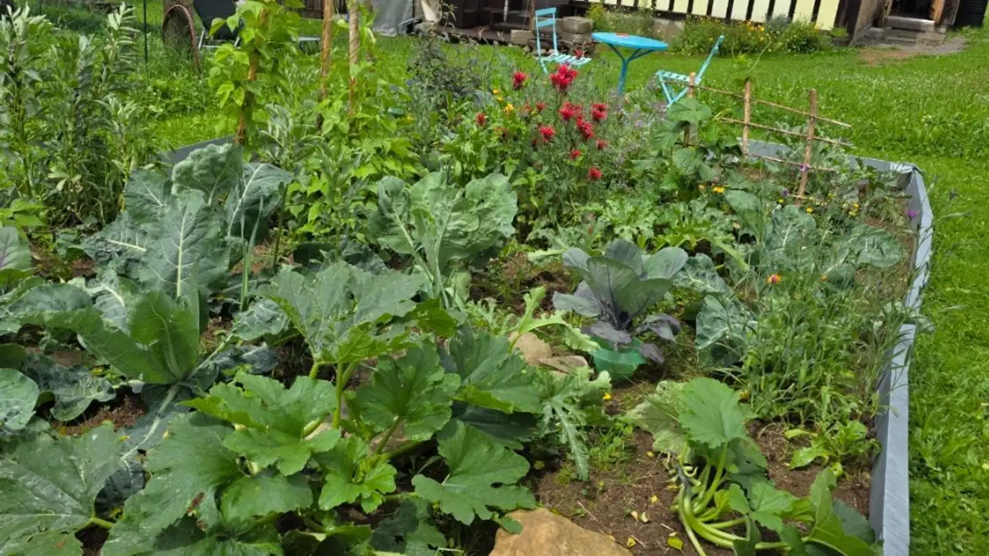 Single room for rent - 9105 Schönengrund