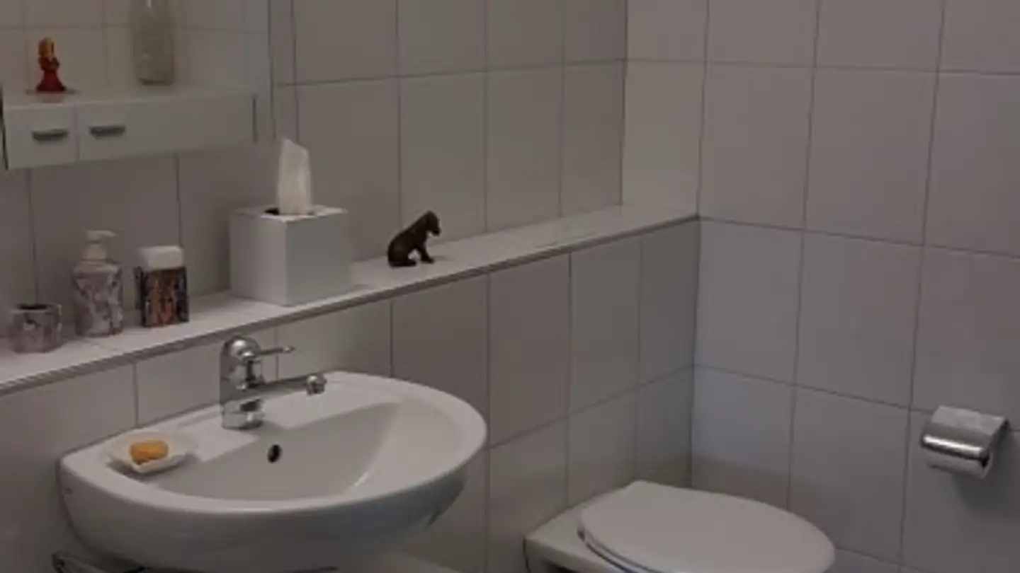 Wohnung mieten - Aubrigstrasse 27, 8645 Jona - Foto 4