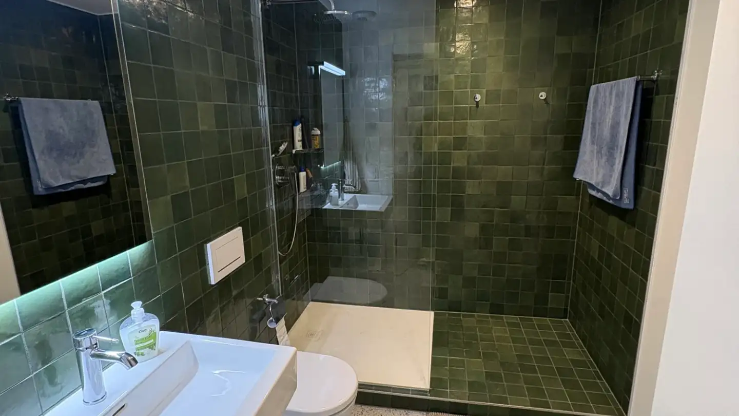 Appartamento in affitto - Rue De-Grenus, 1201 Genève - Foto 2