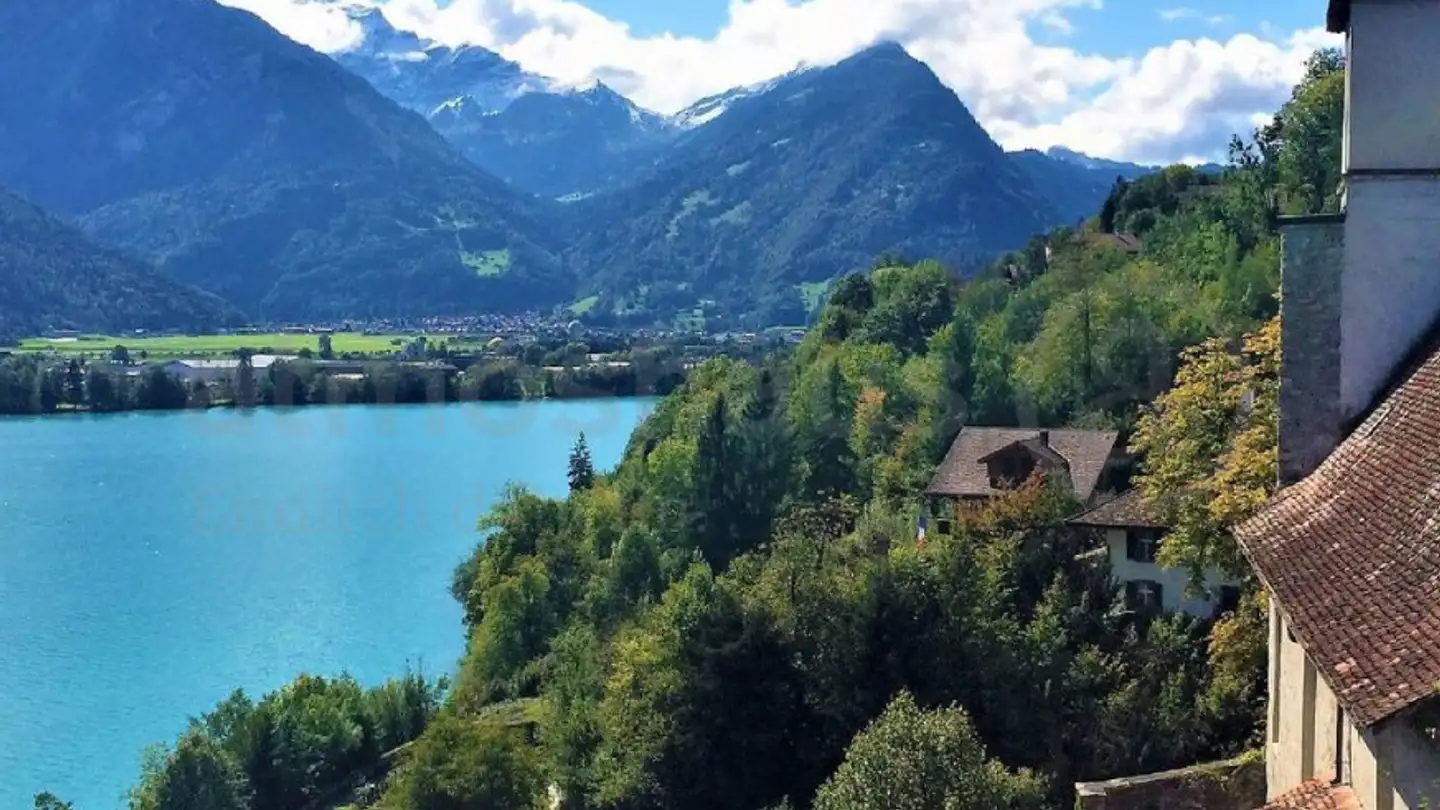 Terreno edificabile in vendita - Muriweg, 3852 Ringgenberg BE - Photo 4