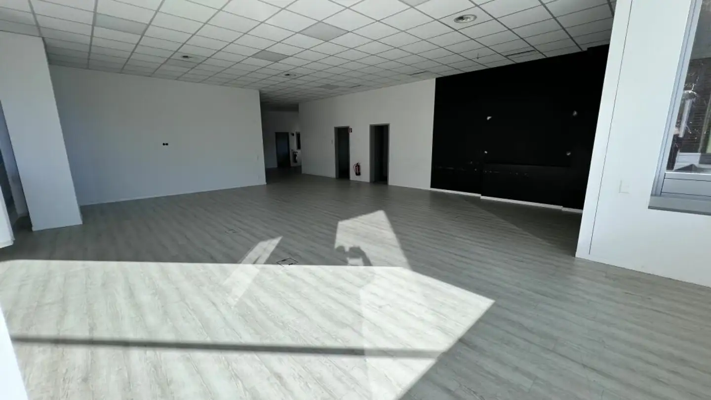 Gewerbe mieten - 6928 Manno - Foto 3