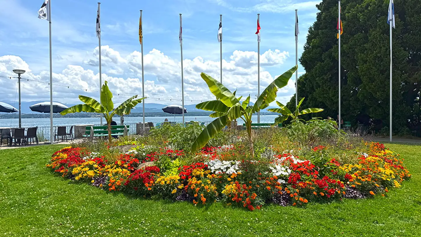 Penthouse kaufen - 1260 Nyon - Foto 4