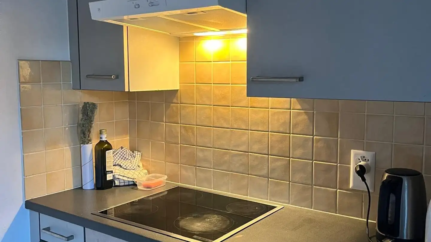 Chambre à louer - Via Cortivallo 33, 6900 Lugano - Photo 3