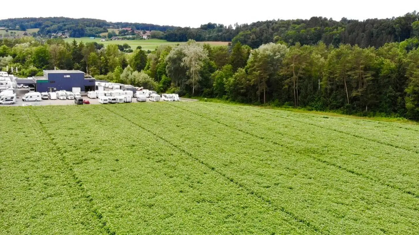 Proprietà industriale in vendita - Industriestrasse, 3178 Bösingen - Photo 3