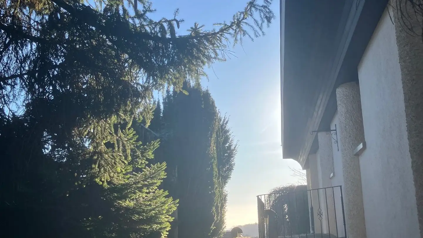 Einfamilienhaus kaufen - Rumermatt 11, 5225 Bözberg - Foto 4