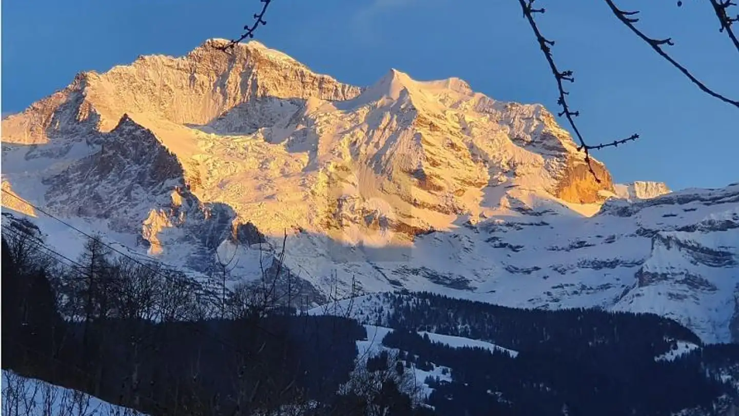 Chalet in vendita - 3823 Wengen