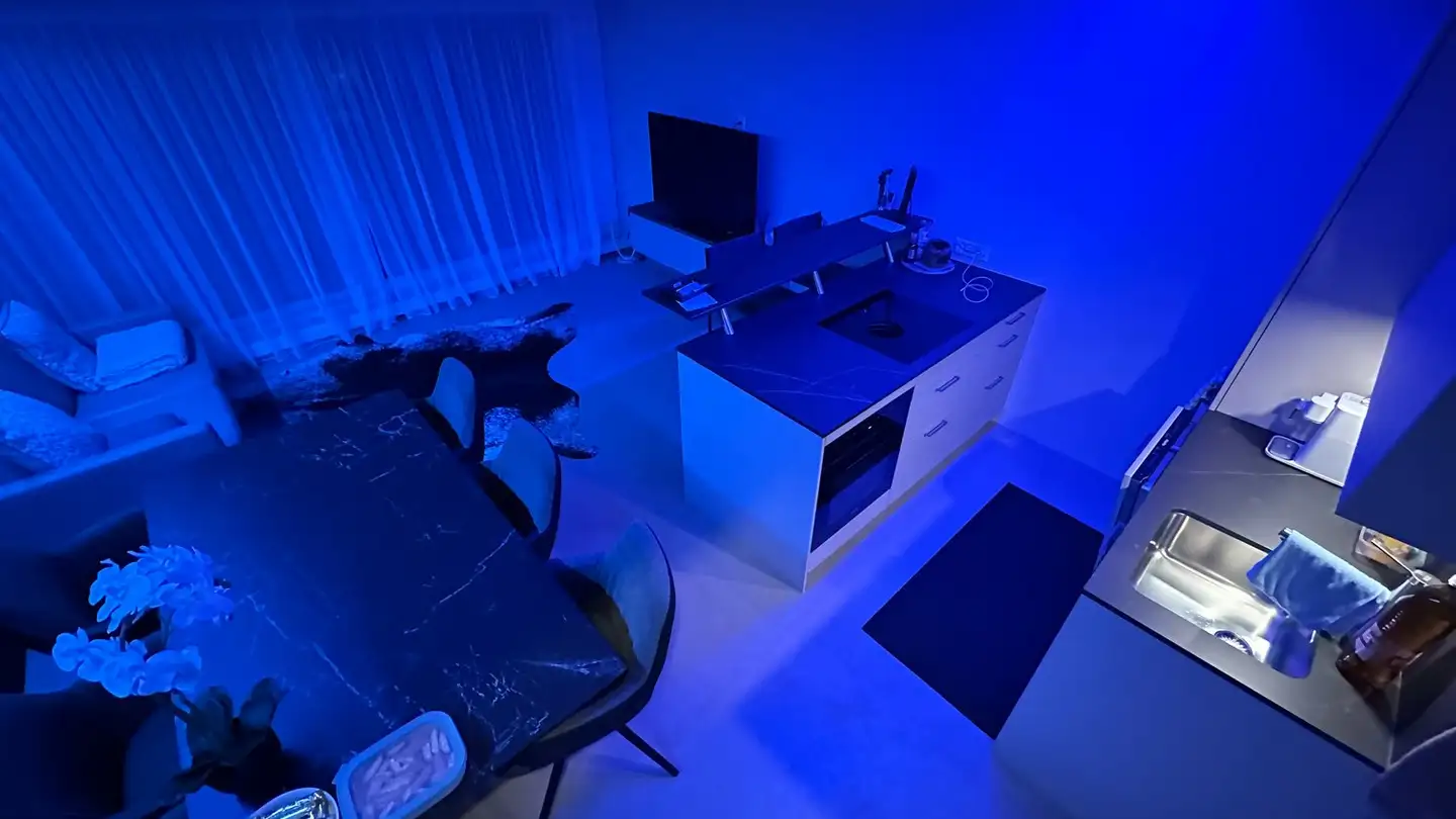 Studio for rent - Rigiweg 2, 6354 Vitznau - Photo 3