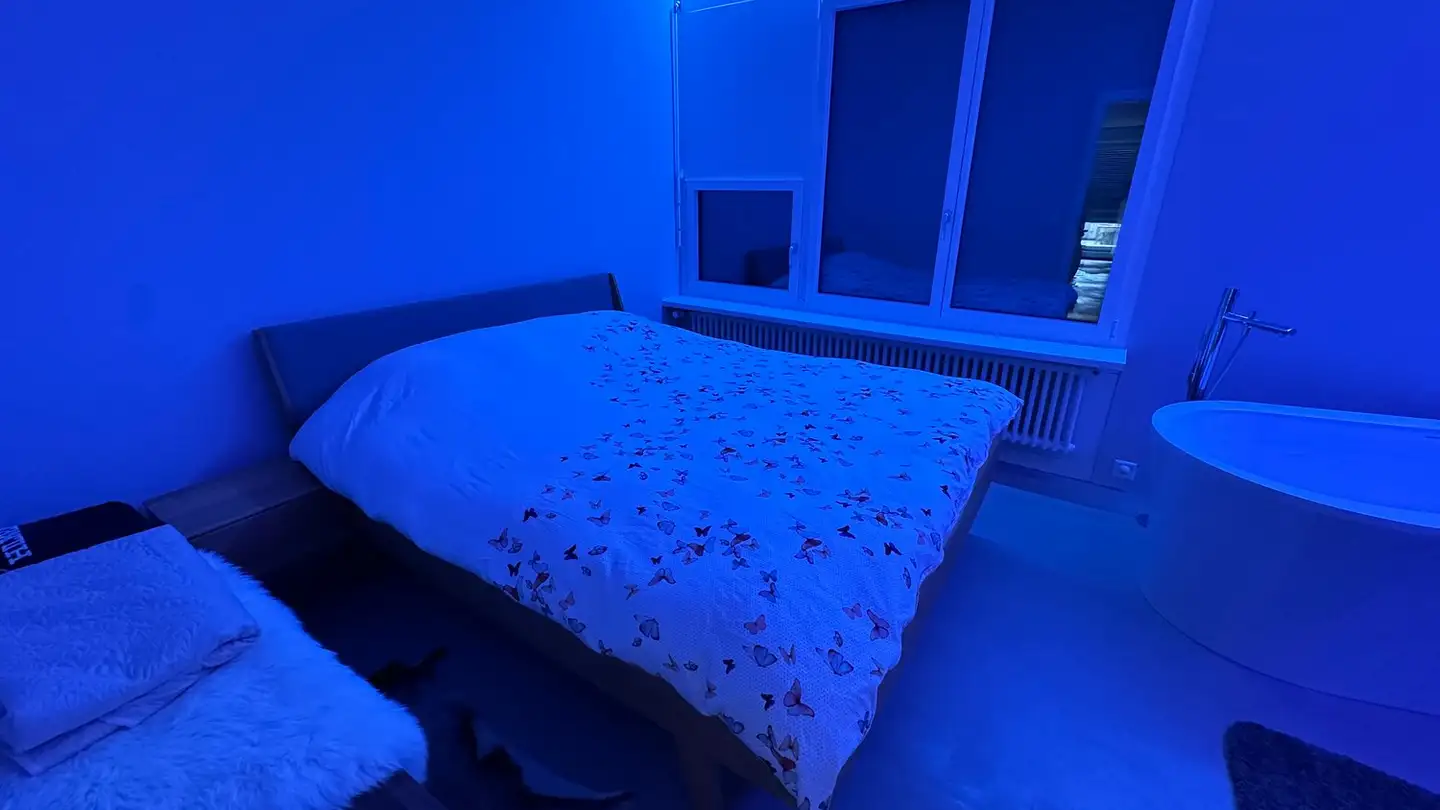 Studio for rent - Rigiweg 2, 6354 Vitznau - Photo 4