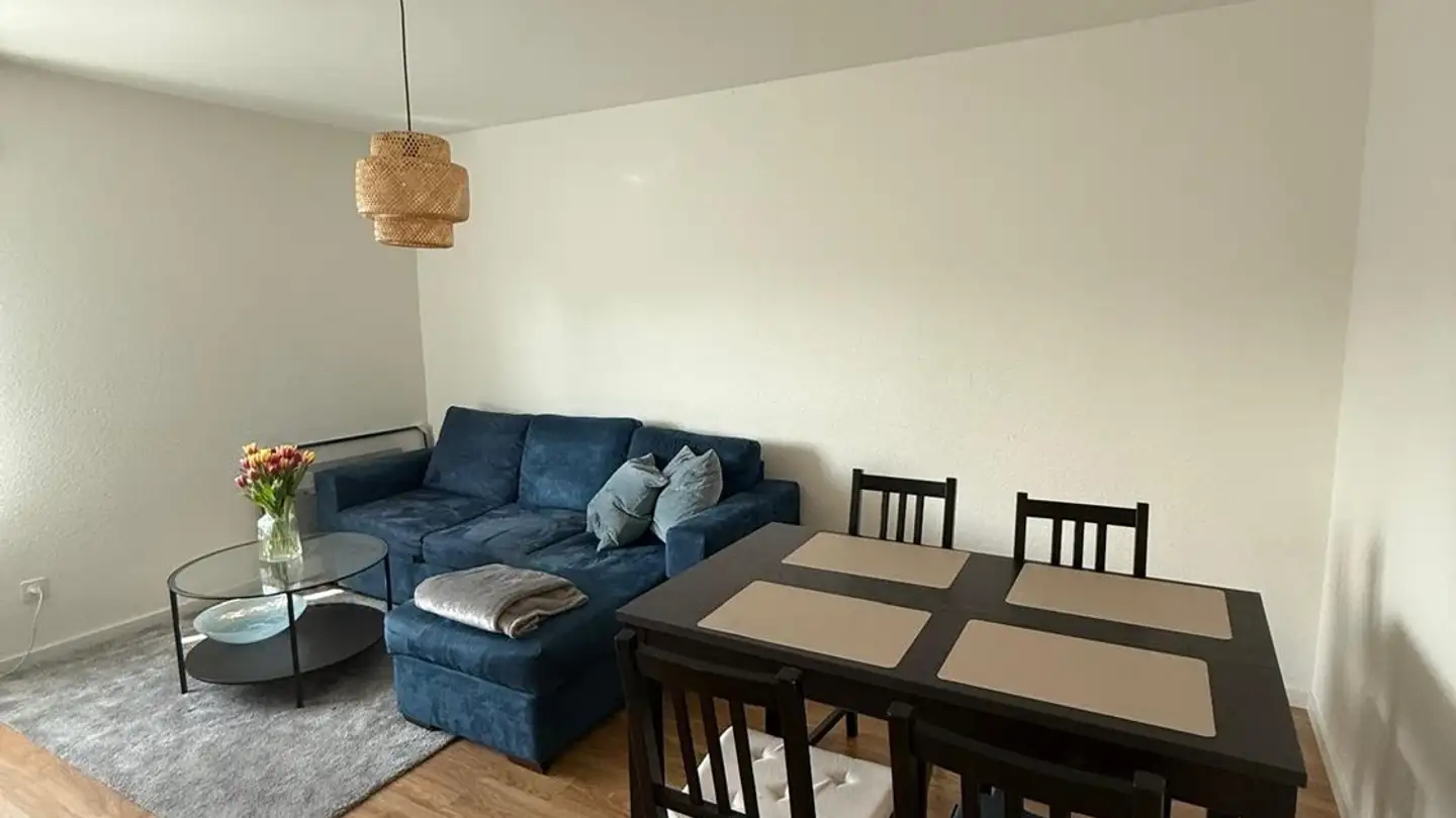 Appartamento in affitto - Kriesbachstrasse 67b, 8600 Dübendorf - Photo 3