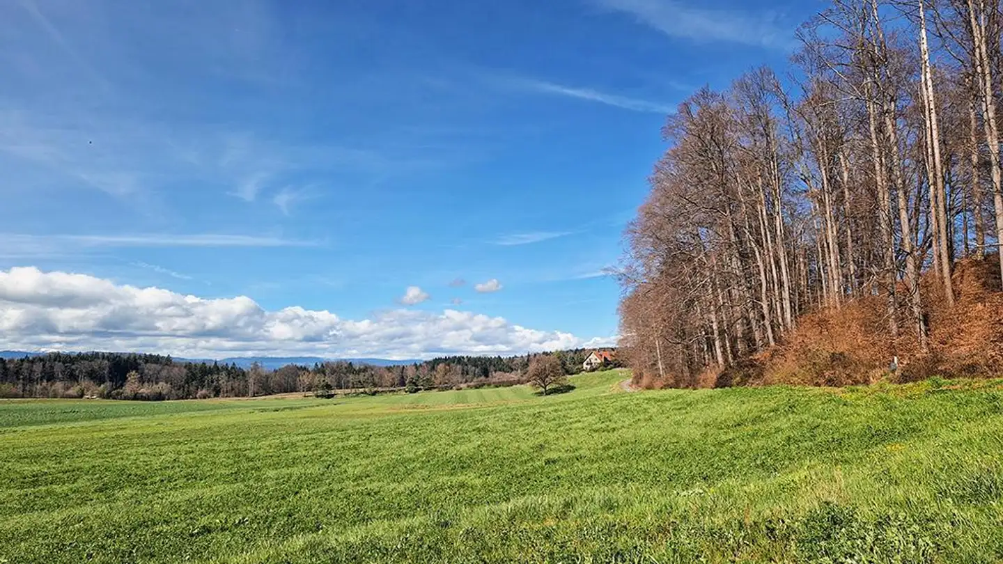 Villa in vendita - 1052 Le Mont-sur-Lausanne - Foto 2