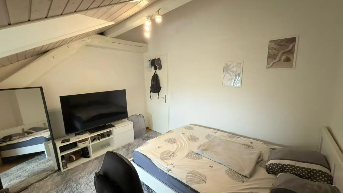 Appartamento in affitto - Avenue De La Praille 28, 1227 Carouge GE