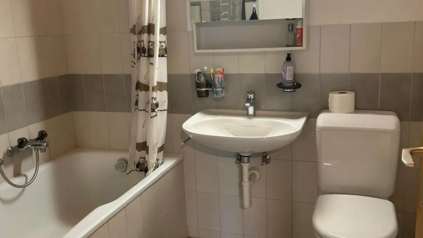 Appartamento in affitto - 8264 Eschenz